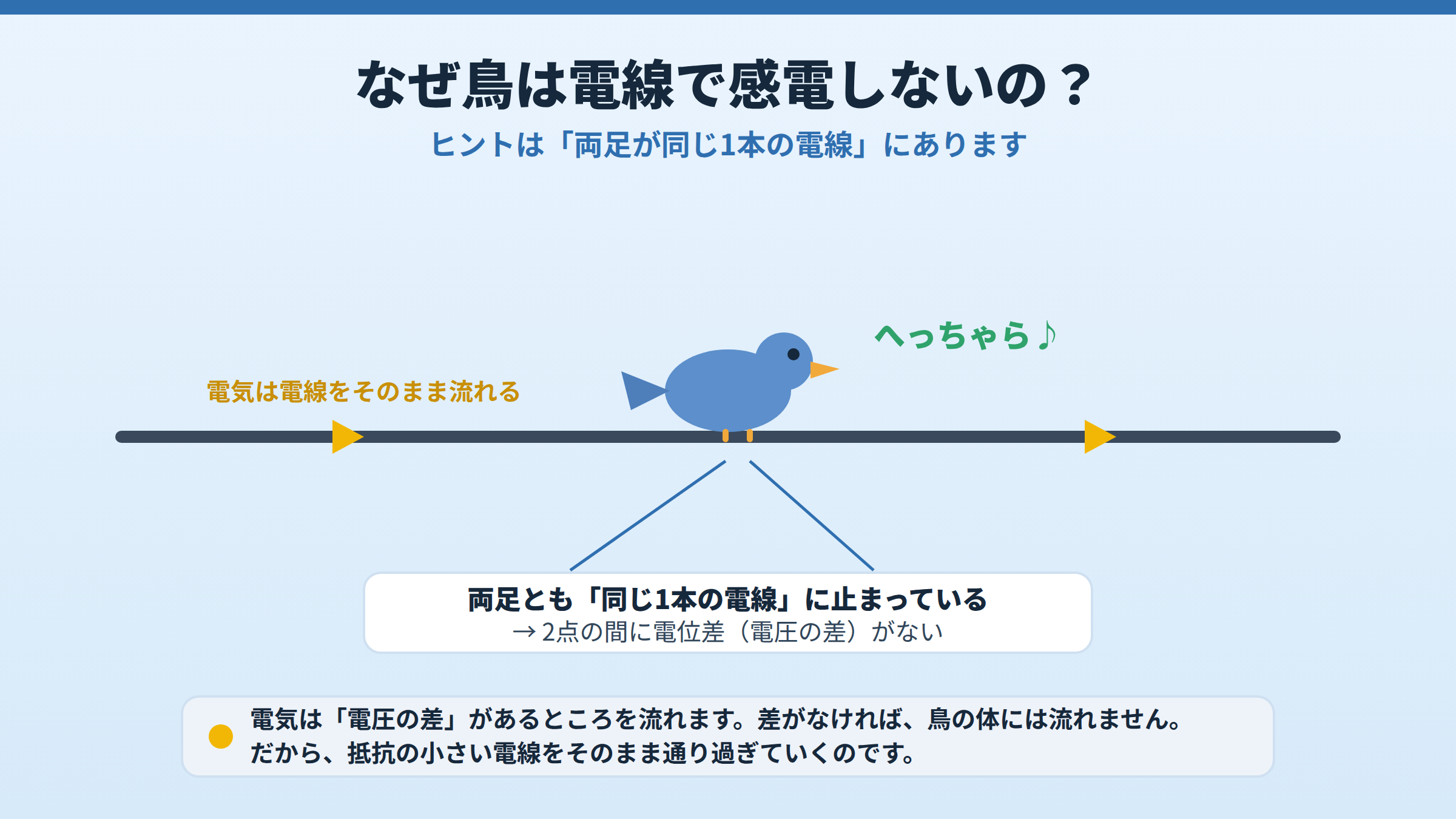 鳥が1本の電線に両足で止まっている図。両足は同じ電線上にあり電位差がゼロなので、電気は鳥の体を通らず電線をそのまま流れることを示している。