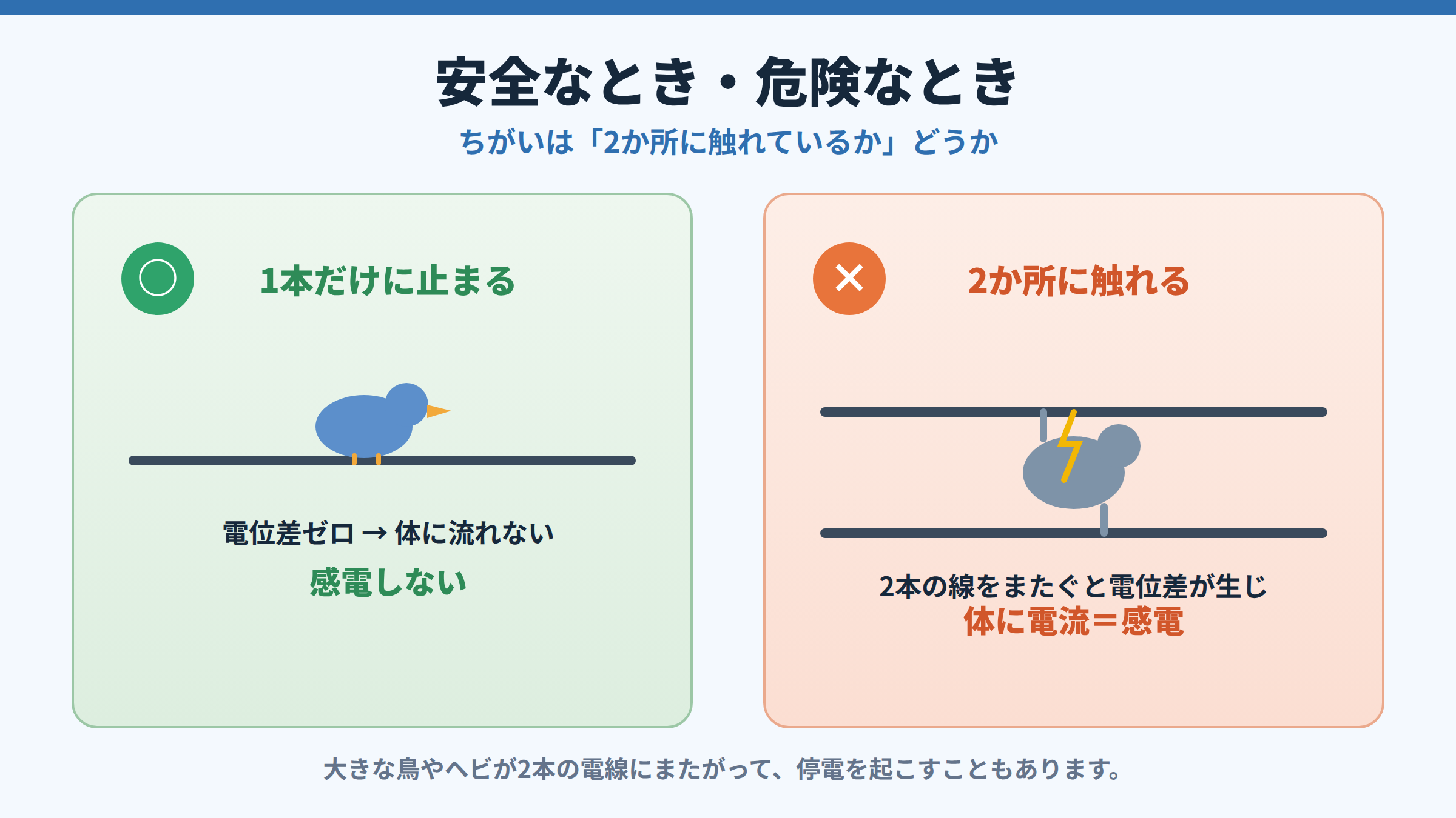 左は鳥が1本の電線だけに止まって感電しない安全な状態、右は2本の電線に同時に触れて電位差が生じ体に電流が流れる危険な状態を、対比して示した図。