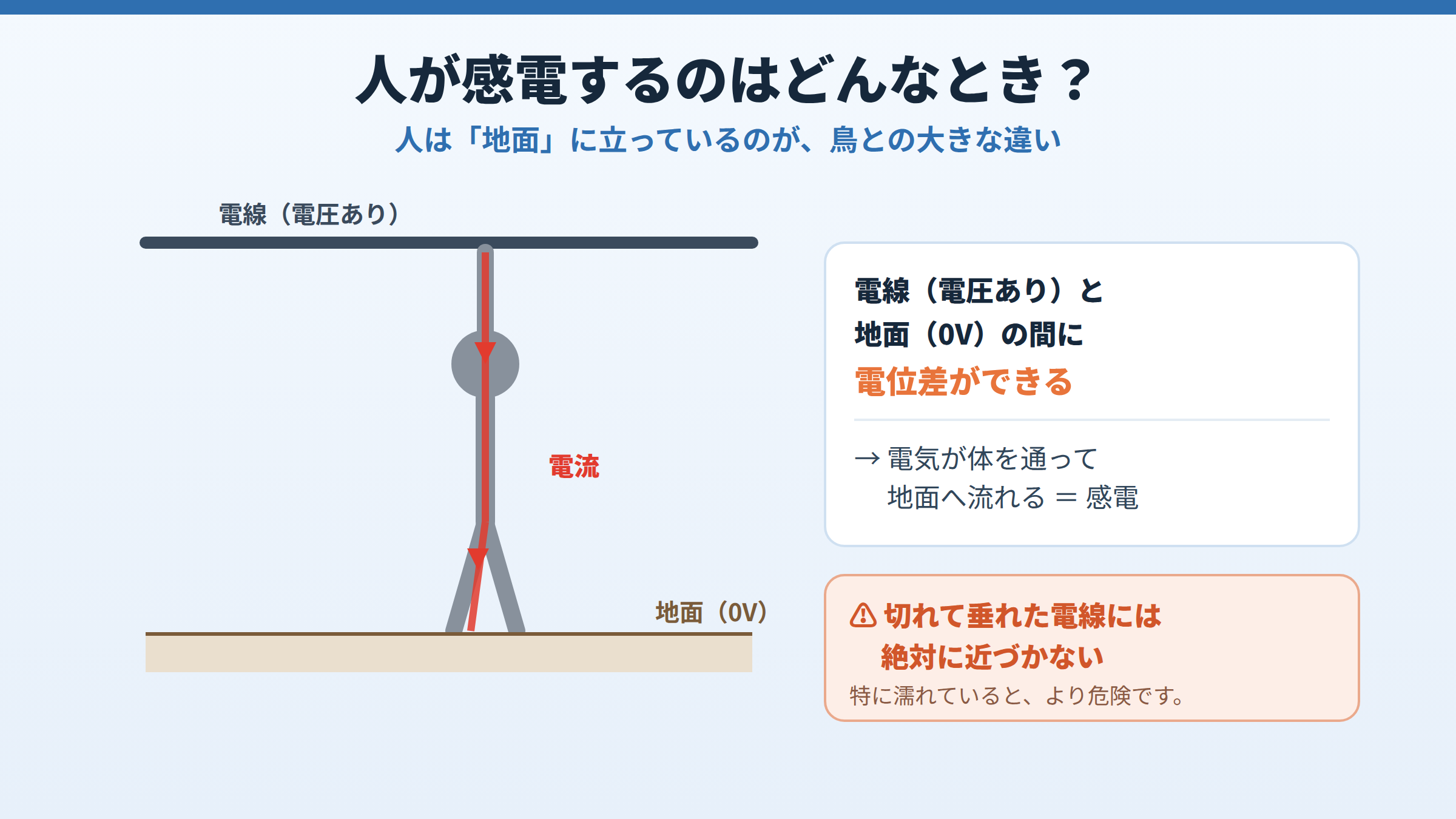 地面に立った人が電圧のかかった電線に触れると、電線と地面の間の電位差によって電気が手から体を通り足から地面へ流れ、感電することを示した図。垂れた電線に近づかない注意も添えている。